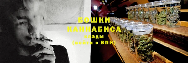 PSILOCYBIN Абаза