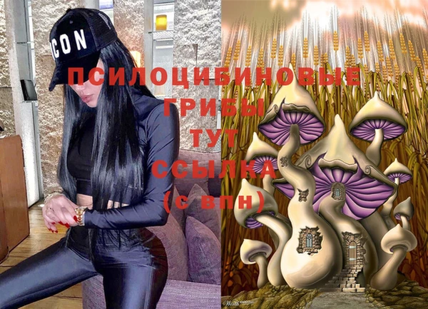 ПСИЛОЦИБИНОВЫЕ ГРИБЫ Абдулино