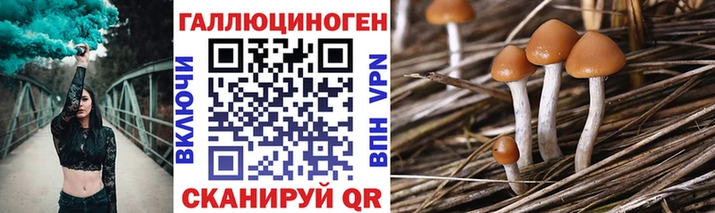 Псилоцибиновые грибы Cubensis  Уссурийск 